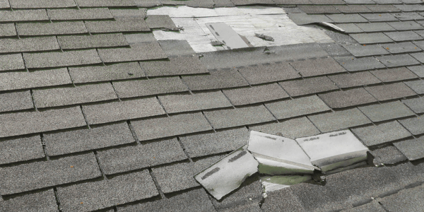 Roof Shingle Hail Damage