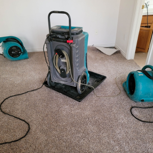 Air Movers and Dehumidifier for Ck Restoration