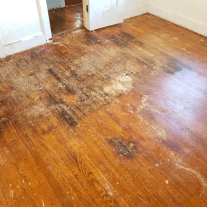 Damaged wood floor from water damage