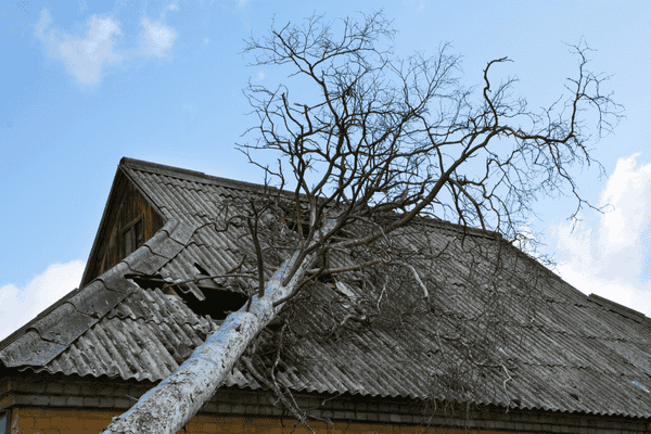 emergency roof repair first 24 hours what to do